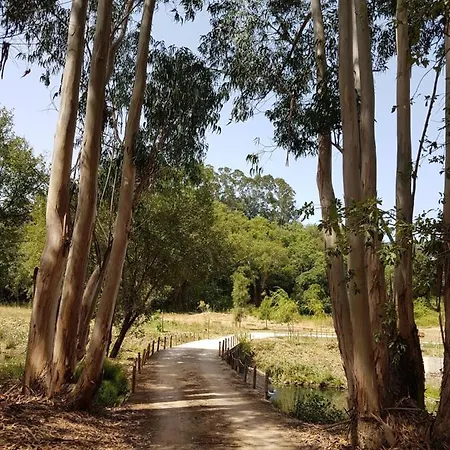 Herdade Quinta Natura Bed & Breakfast 4*