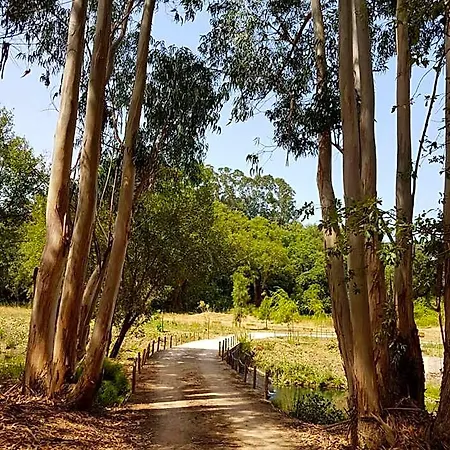 B&B Herdade Quinta Natura 4*