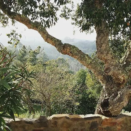 Bed and Breakfast Herdade Quinta Natura